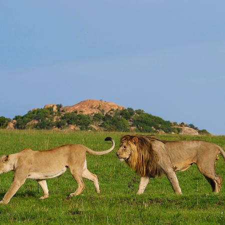 Nkomazi Game Reserve By Newmark Badplaas Eksteriør bilde