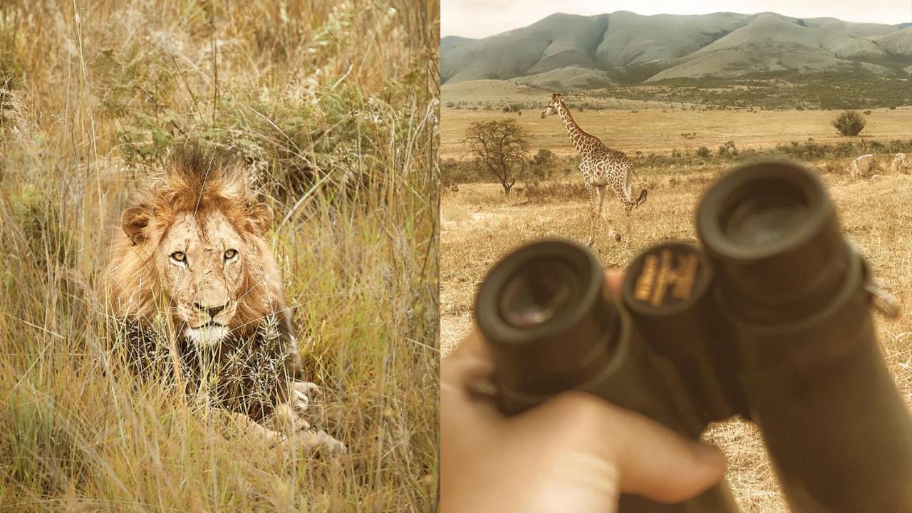 Nkomazi Game Reserve By Newmark Badplaas Eksteriør bilde