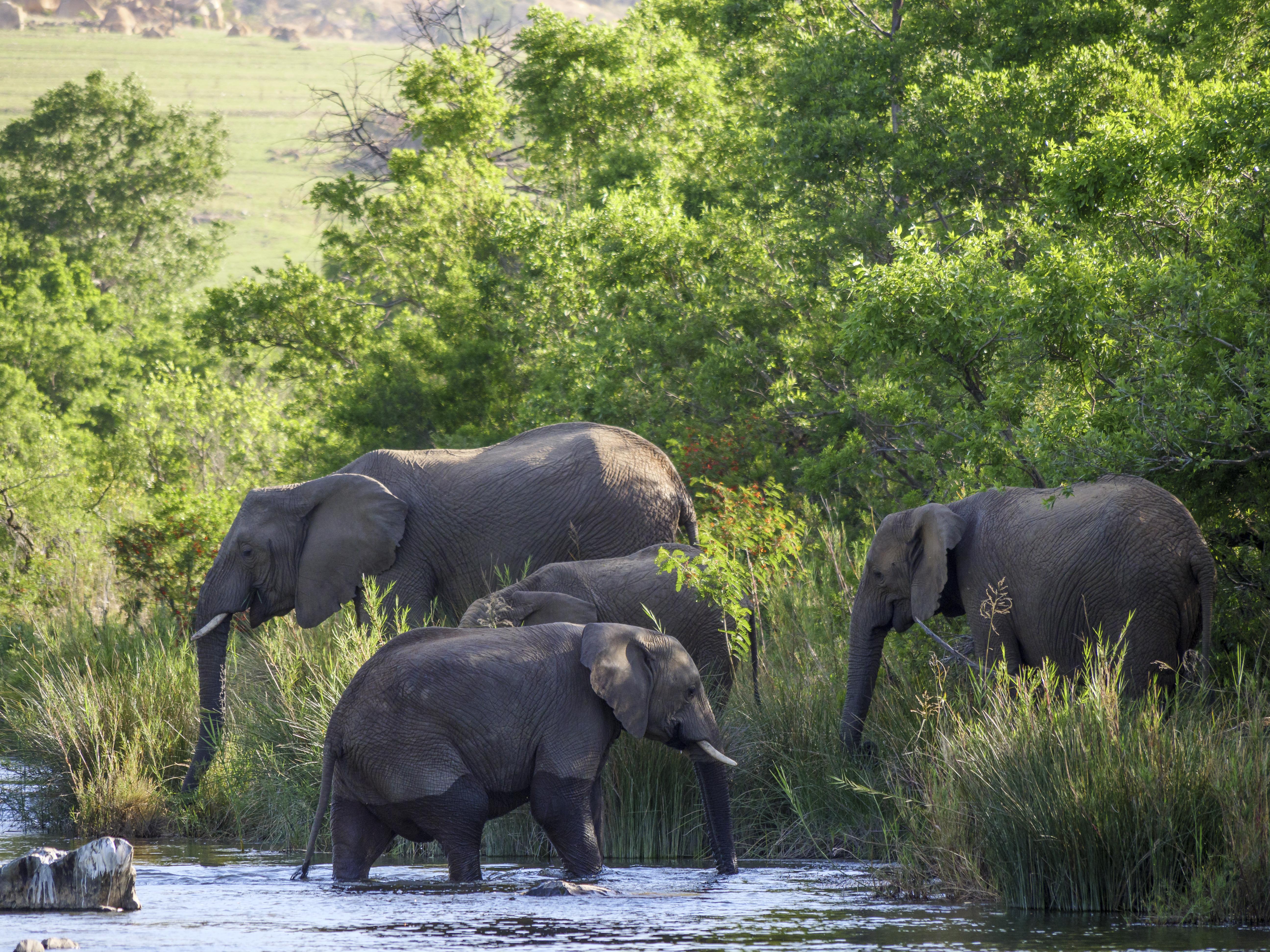 Nkomazi Game Reserve By Newmark Badplaas Eksteriør bilde